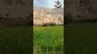 غير ابويا ما ليا حبايب   اكسبلور  الصعيد  تصميمي  لايك  تيك توك         دندنها