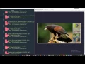 Photo Gallery in JS - JavaScript Tutorials Web Development Tutorials