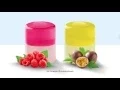 Download Lagu Lançamento Mimosa magro iogurte + gelatina