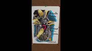 The Bookwalter Retractor بهترین دوست یک ساکن 