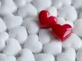 Download Lagu Sweet Love Feeling