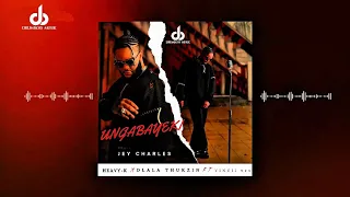jey charles heavy k dlala thukzin ungabayeki visualiser ft vincii 929