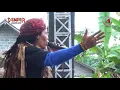 Download Lagu WONG EDAN KUWI BEBAS-SODIQ MONATA-MONATA SEASON2