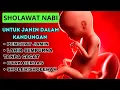 Download Lagu Meningkatkan Kecerdasan Otak Janin, Murotal Ibu Hamil, Sholawat Ibu Hamil Agar Bayi Sehat Sempurna