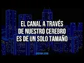 Stock Manager Oversized sub traducida espanol