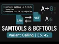 Variant Calling with Samtools Bcftools BAM to VCF Workflow Ep 42