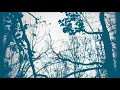 Nuvole Bianche (Official Visualiser) - Ludovico Einaudi