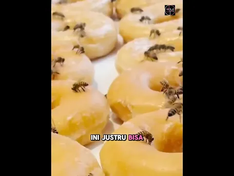 Toko Ini malah membiarkan lebah makan Donatnya