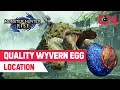 Quality Wyvern Egg Location Monster Hunter Rise Only the Good Eggs