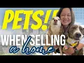 San Antonio Pet-Friendly Selling