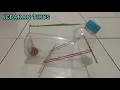 Download Lagu Jebakan Tikus Dari Botol Plastik