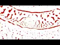 KALEIDOSCOPE (FEAT. CRYSTALLINE) | TRIPPY VISUALS