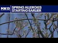 Tree pollen surges early as warmer winter fuels allergy season FOX 13 Seattle