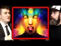 What a DMT trip is like Duncan Trussell and Lex Fridman