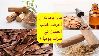 ماذا يحدث إن أحرقت خشب الصندل في منزلك يوميا   دندنها