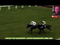 Golden Ace wins at Tauton Jan 08 2024 Horse Racing RESULTS Bet