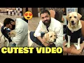 Lagu Rakshit Shetty CUTE Moment \u0026 Conversation With Dog Charlie | 777 Charlie Mumbai Press Meet