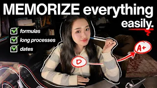 how to memorize everything you study fast and easily formulas terms dates processes etc