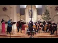 Download Lagu Corelli: La Follia (arr. Geminiani), complete.  Voices of Music, original instruments | 8K UHD video