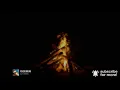 Alex Warren - FEVER DREAM (Lyric Video)