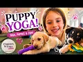 DID WE TAKE A PUPPY HOME