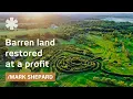 Download Lagu Homestead Paradise: got barren land, boosted it at a profit