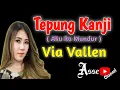 Download Lagu Via Vallen \