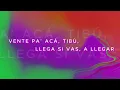 ARIA VEGA - CULE POCO (sirena_besarico_costeña) (Lyric Video)