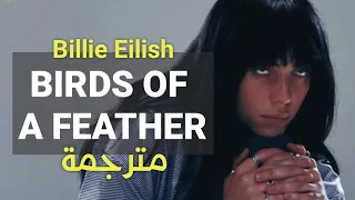                                    الطيور على أشكالها تقع          مترجمة دندنها