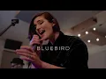Download Lagu Hello Shannon - Bluebird (Live in Studio)