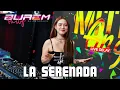Lagu LIVE DJ MITHA ANGEL JUNGEL DUTCH REMIX FULL BASS