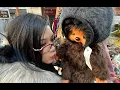 Download Lagu tokyo vlog