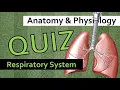QUIZ Respiratory System Anatomy Physiology