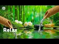 Soothing Spa Piano Music 🌿 Relaxing Sleep Music \u0026 Nature Sounds, Bamboo Water Fountain, Calm Music