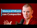 Download Lagu Vence el Miedo con Compasión  | Conferencia | Lama Rinchen