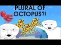 What is the Plural of Octopus Hidden History of English Excel at ESL