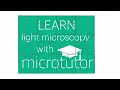 Microtutor A new virtual light microscopy course
