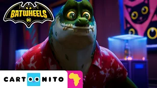 Batman & Bam vs Crocodile Supervillain🐊 | NEW Batwheels | Cartoonito Africa