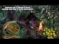 Berpetualang \u0026 Camping, panen buah-buahan liar di hutan, pasang pancing dan masak ikan sidat 