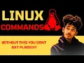 Linux Commands Every Beginner Developer Must Know Complete Linux Command Guide