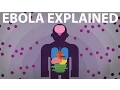 Download Lagu Het Ebola virus uitgelegd - Hoe je lichaam vecht voor je leven