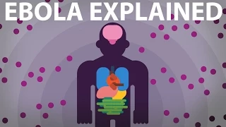Download The Ebola Virus Explained — How Your Body Fights For Survival MP3