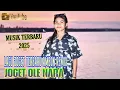 Lagu LAGU JOGET AMBON TERBARU REMIX OLE NARA 2025