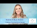 Cosmic Connections Series Meet the Avians Blue Avians