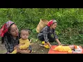 Download Lagu Een 8 maanden oude baby verloren in de wildernis, gelukkig gevonden door een alleenstaande moeder