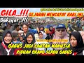 Download Lagu GILA‼️ DAHSYAT❗ GABUS FESTIVAL MANCING MANIA KALI GABUS DI SERBU RIBUAN ORANG LUAR BIASA #kdm #viral