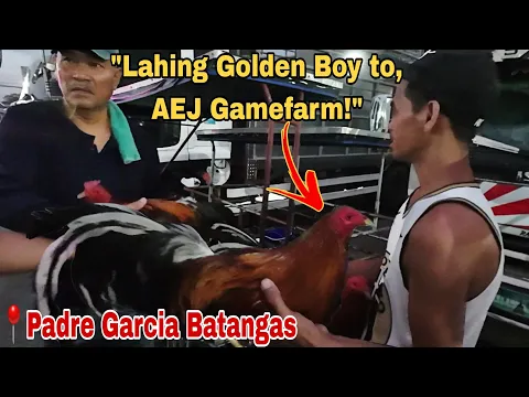 Download MP3 Episode 80: Bentahan ng Manok sa Padre Garcia Batangas