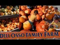 VISITING DELL OSSO FAMILY FARM Family Trip to the pumpkin patch Fall 2021