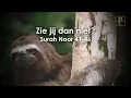 Download Lagu Zie jij dan niet? | Sheikh Ali Jaber | Surah Noor 41-46