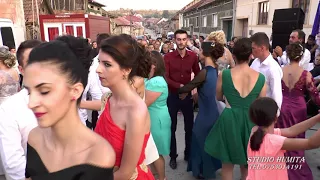 ion dragomir papu program ardeleana 2 nunta gheorghe u0026 lenuta verendin 2017